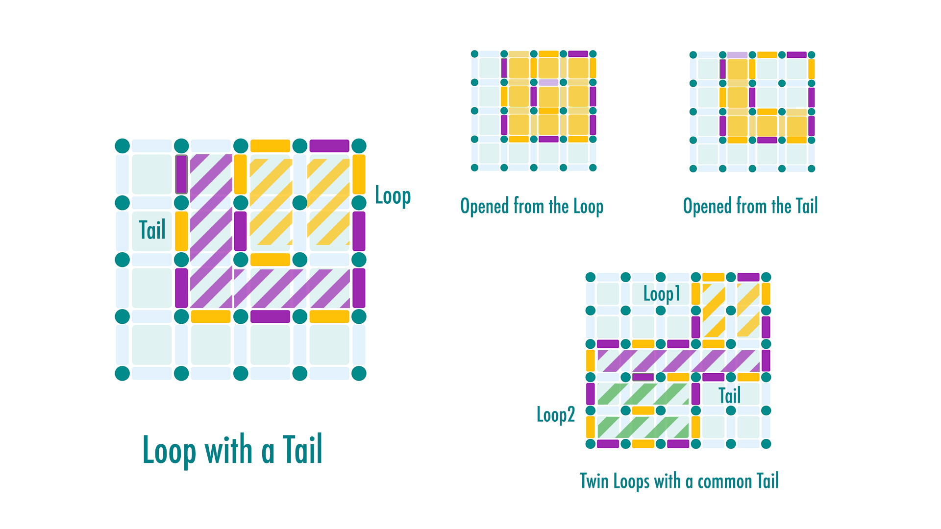 Dots and Boxes Loop With A Tail Example